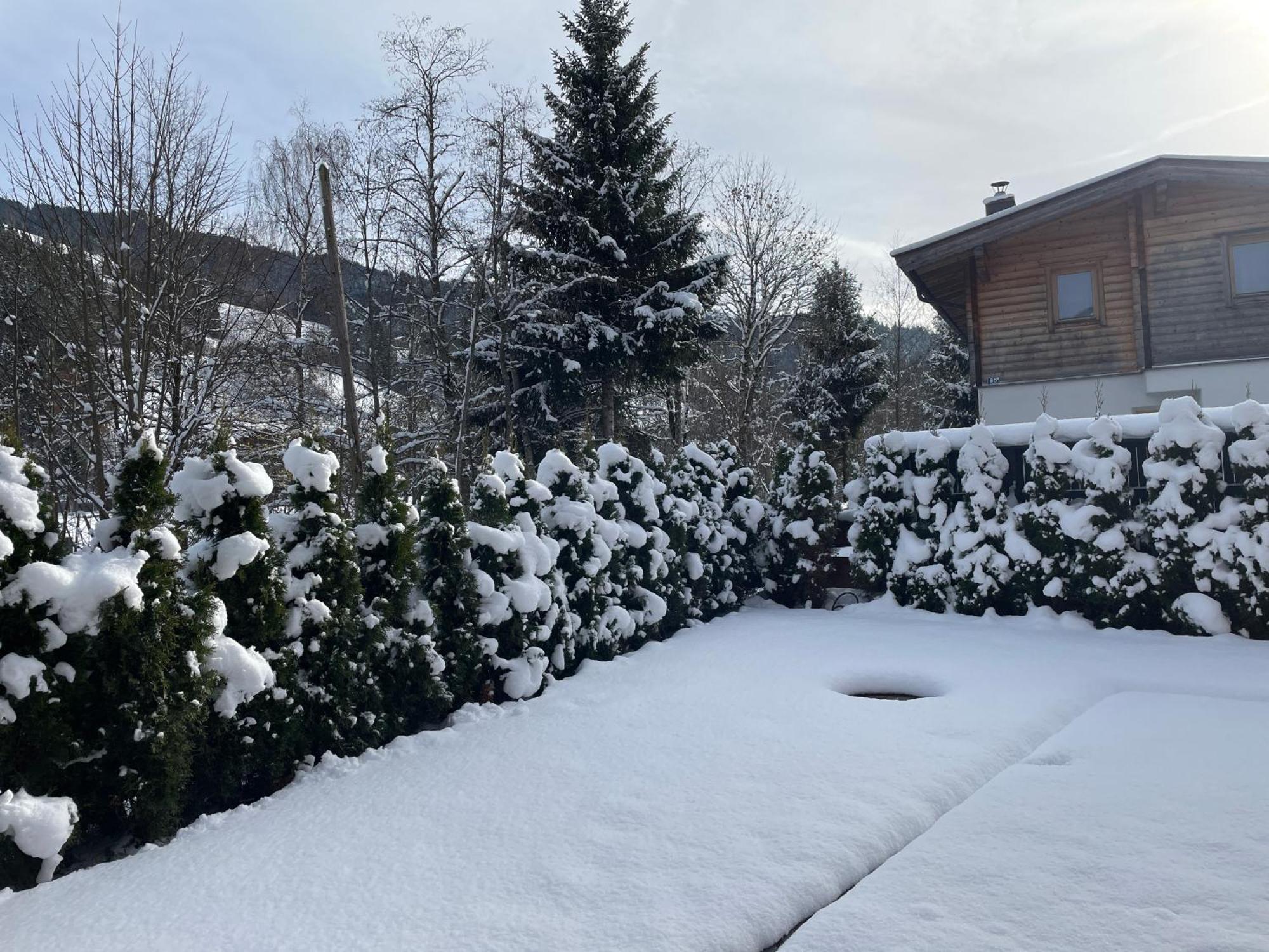 Garten Suite Kirchberg By Alpine Host Helpers كيرشبرغ ان تيرول المظهر الخارجي الصورة